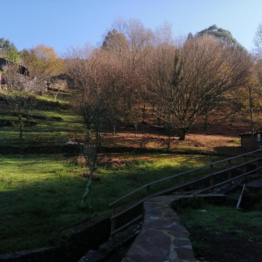 Casa De Baixo Lägenhet Lousã Exteriör bild